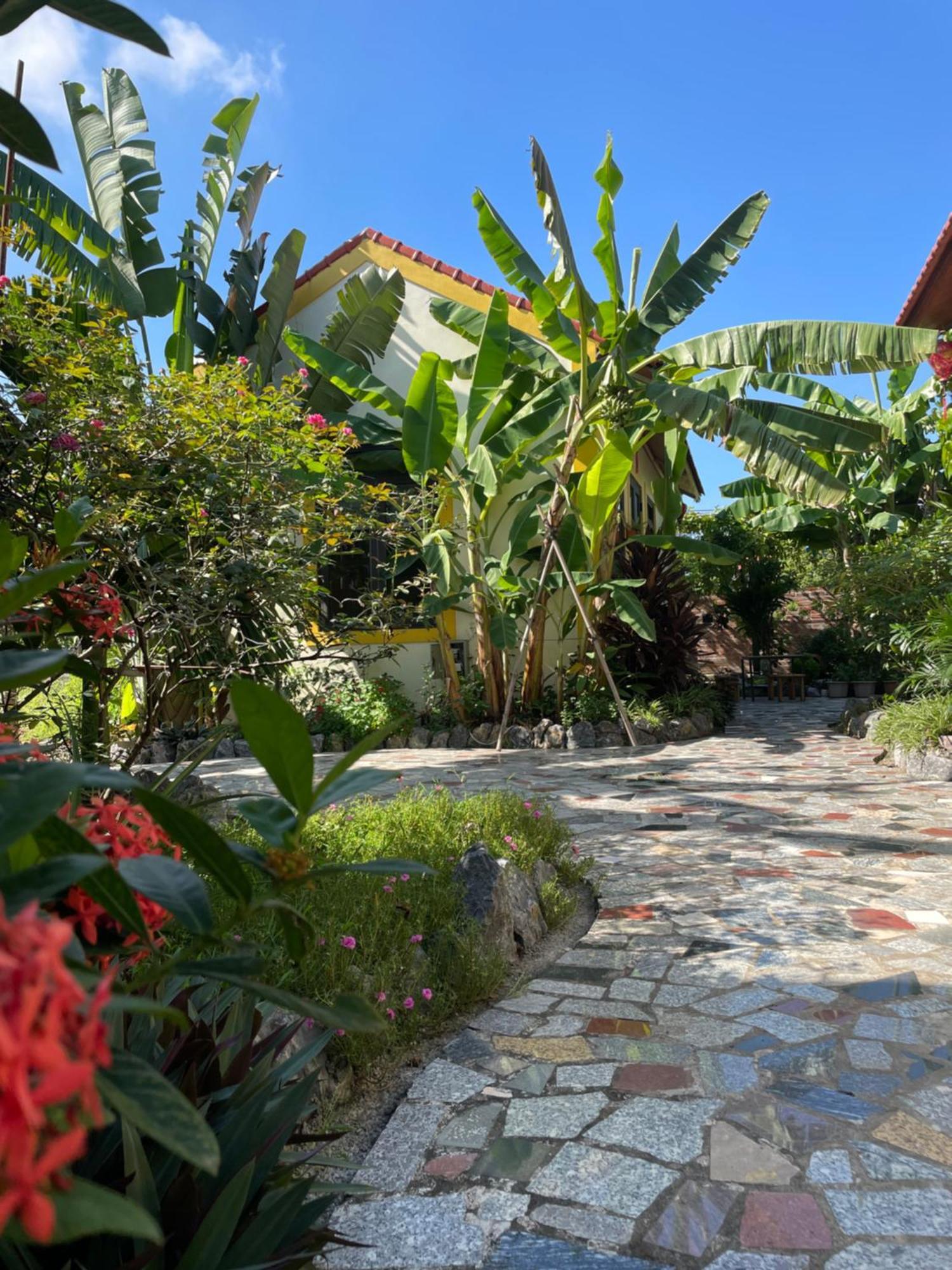 Ninh Binh Royal Homestay Dış mekan fotoğraf