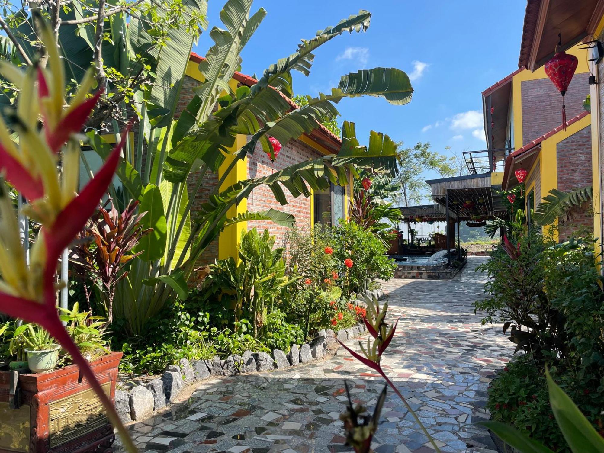 Ninh Binh Royal Homestay Dış mekan fotoğraf